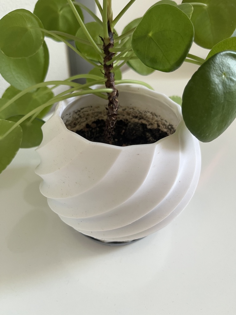 Trockenblumenvase 1