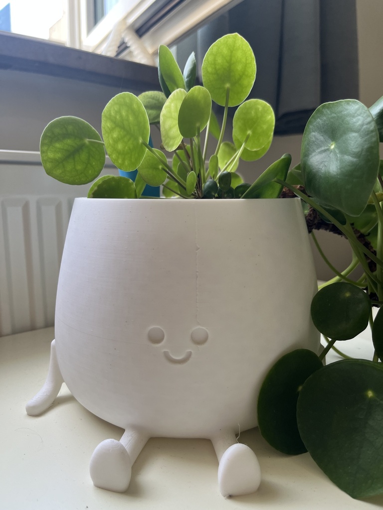 Blumentopf mit Gesicht