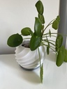 Trockenblumenvase
